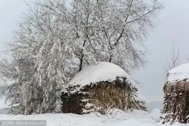 #揭密牌场上的出千秘密#图片