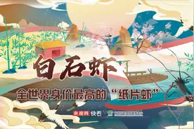 【何以中国】成团了文物｜齐白石的虾妙在何处？图片