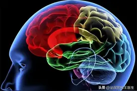 体内有疾，头部先知？根据5种头痛部位判断疾病，自己对照看一看图片