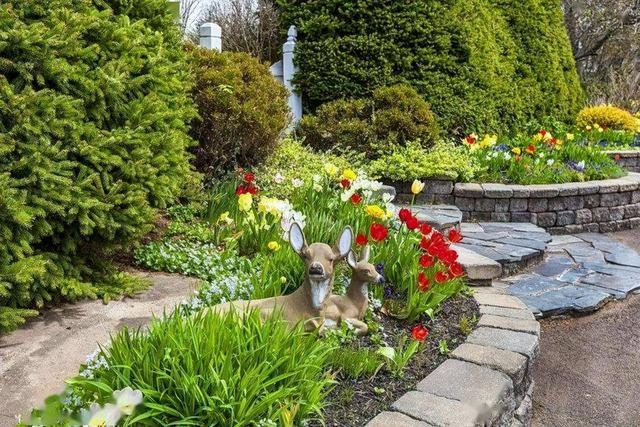 关注盆栽花卉种植(夏天适宜种植的盆栽花卉)-措必培
