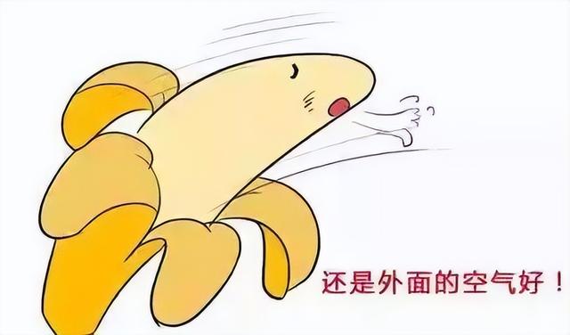 可能很多父母对小孩子丁丁发育会比较,毕竟男孩丁丁生长发育的好不好