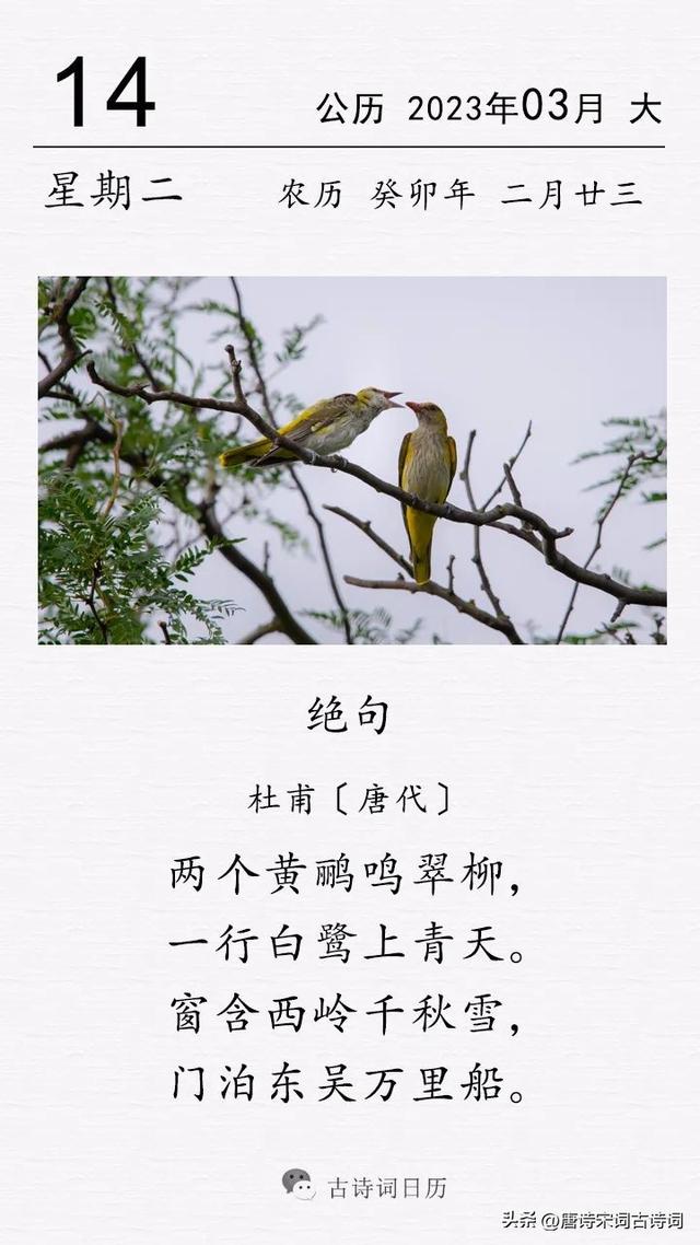 杜甫绝句两个黄鹂鸣翠柳全诗翻译赏析（杜甫绝句两个黄鹂鸣翠柳）