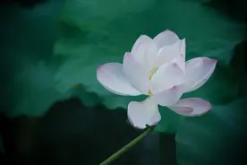 当对方不回复你消息时，牢记这三句话，便会豁然开朗图片