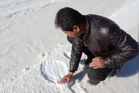 一代青海首富跌落！家族曾坐拥265亿财富图片