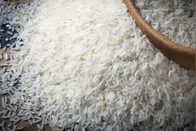 印度出口大米征收20%关税！粮食危机时代已来临图片