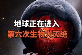 仅20世纪，灭绝了200万物种，地球或将进入“第六次生物大灭绝”图片