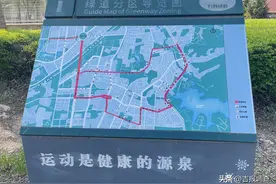 绿道骑行，穿行于长春美景中的健身图片