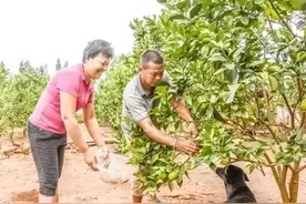 父亲节：真正“沉默”的人，是父亲图片