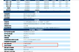 “安逸花”平均年化利率近24% 2021年马上消费金融息差达19%，催收费用15亿元图片