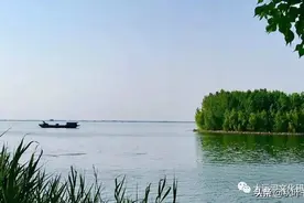 亲们，让我们来谈谈骆马湖吧？图片