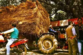 我国拖拉机比不过印度？非洲人表示印度的更好用，这是怎么回事？图片