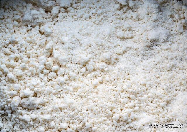 农民用豆腐渣自制腐殖酸水溶肥，肥效胜过磷酸二氢钾