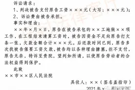 年底讨薪、农民工讨薪最快的方法有哪些?图片