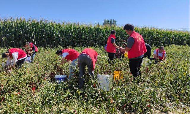 多彩活动迎中秋 文明实践暖人心——民勤县广泛开展“我们的节日·中秋”文明实践主题活动