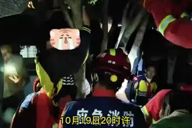 一男孩爬树被卡，惨遭众人围观图片