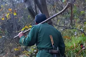 1991年，湖北一名农民被毒蛇疯咬9口而死，这是怎么回事？图片