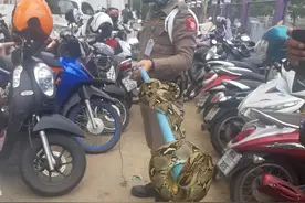 这些泰国特色工种，你听过吗？图片