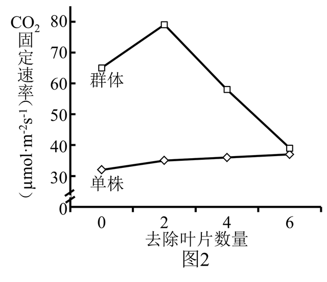 高中生物-细胞代谢