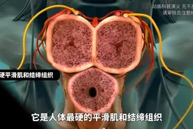男性的小秘密 男性蝌蚪的诞生是一个神奇而又复杂的生理过程。图片