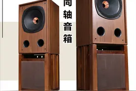 同轴音箱和分频音箱有什么区别？图片