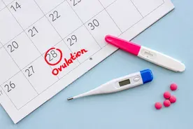 如何得知自己排卵了？若出现这几个症状，赶紧同房图片