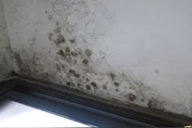 墙壁潮湿发霉发黑，为了健康一定要及时清除，教你几招，轻松解决发霉不伤墙体图片