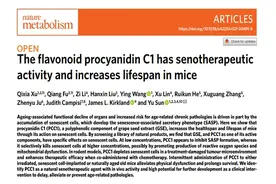 葡萄籽抗衰是智商税？国内研究发现，抗衰克星PCC1藏在其中图片
