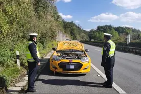 吓呆！高速上引擎盖突然180度弹起，直接击碎前挡风玻璃！图片