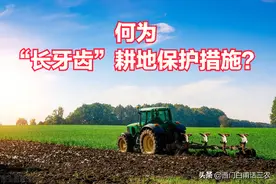 一号文件：落实“长牙齿”的耕地保护措施，如何理解“长牙齿”？图片