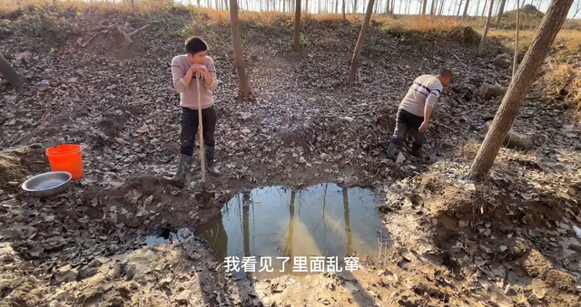 为什么挖个土坑，不管过多久，总会长出鱼来！鱼卵究竟是哪来的？