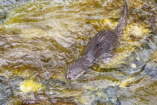 四川省民生研究会新媒体中心-官网