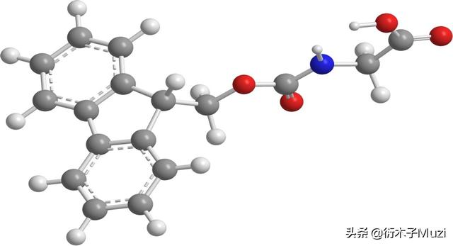 氨基酸是什么？为什么氨基酸被称作生命之源？