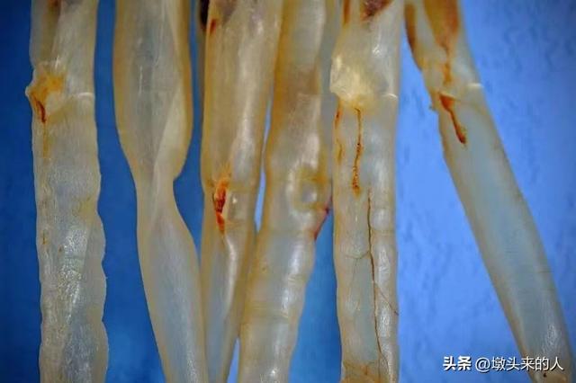 海麻鱼胶多少钱一斤 海麻鱼胶多少钱一斤合适