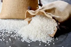 金波：米虫图片