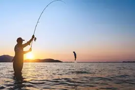 鲢鳙不会钓？这些才是连竿的关键，学会了爆护都不是问题图片