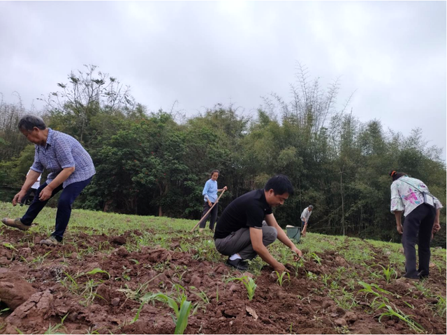 四川省民生研究会新媒体中心-官网