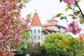 居于宁波城区却被忽略的小众公园，景色竟然这么美，日本晚樱烂漫图片