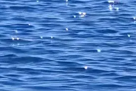 分享几本夫妻相处之道的书图片