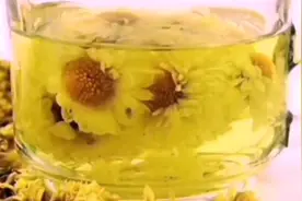 药茶两用之佳品——菊花图片