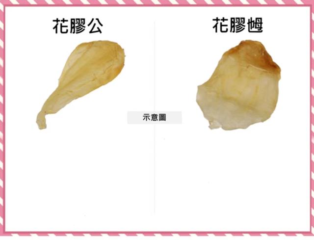 花胶分新老 花胶是老的好还是新的好