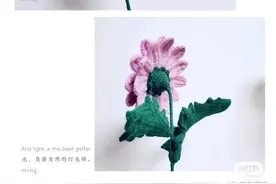 钩针图解：重瓣非洲菊图片