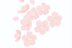 毕业季，送你10首青春的诗图片