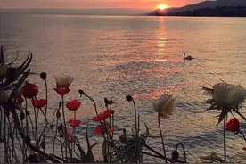 男人若爱上了一个已婚女人，他的真实心理，是这样的，很现实图片