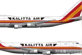 被一群飞鸟搞成一堆废铁，2008年卡利塔航空207航班布鲁塞尔空难图片