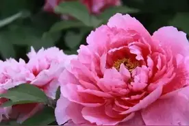 无论你，是谁的夫；你，是谁的妻，皆有定数，不可强求，不可强留图片