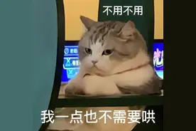 抖音表情包：我只想睡觉图片