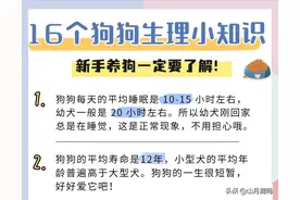 16个狗狗生理小知识图片