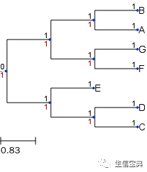 ETE构建、绘制进化树