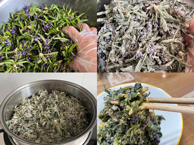 9种常见野菜的好处与吃法，作用一个比一个大，味道一个比一个鲜