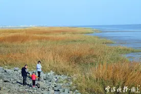 昔日渡轮码头，如今成了原生态的宝藏地图片